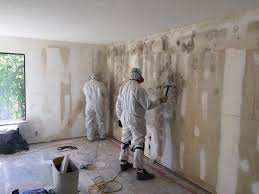 Best Mold Documentation for Insurance Claims  in Chatham, IL